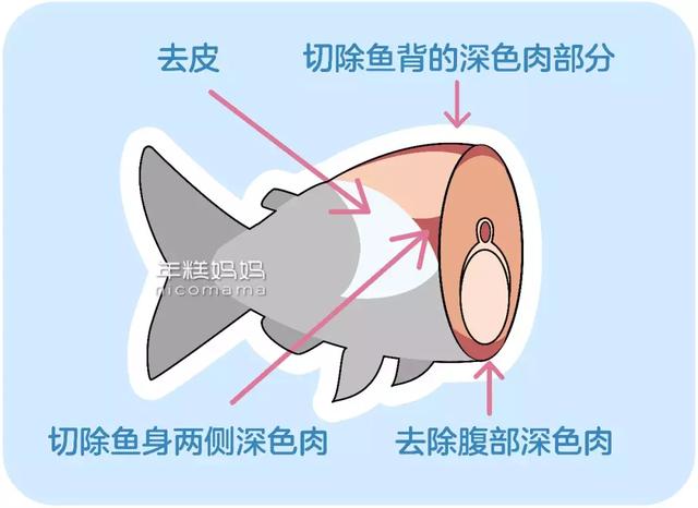 有哪些鱼适合宝宝吃，宝宝们吃什么鱼比较好呢并非越贵越有营养，你选对了吗