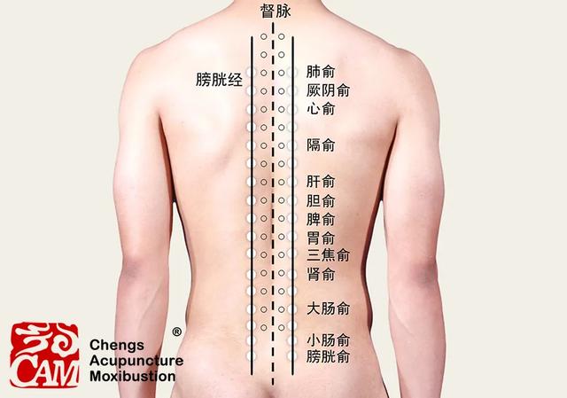 心脑血管疾病进入高发期，养生防病艾灸12背俞穴