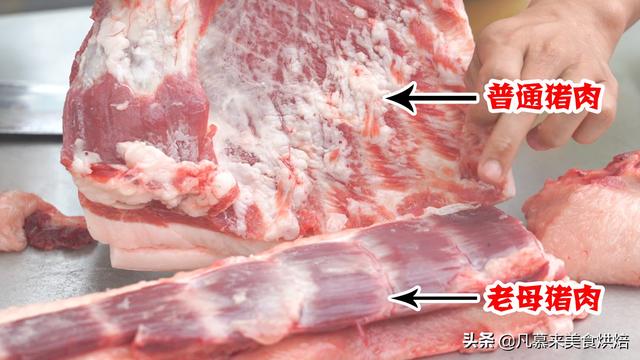 母猪肉与好肉图片对比图片