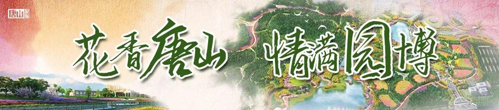唐山市二手鄂试破碎机_唐山赶集网二手车市场