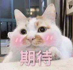 南京博展工程