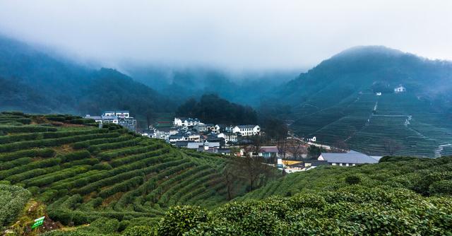 西湖龙井的产地