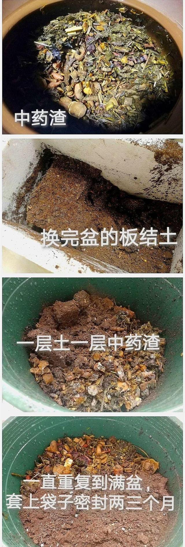 能磨芝麻核桃破碎机