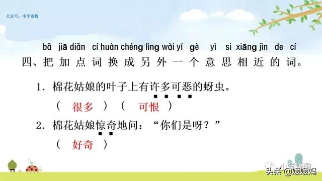 七星瓢虫吃什么
