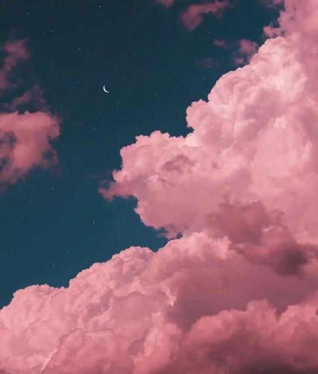 加油網(wǎng)球王子周助齊遠(yuǎn)（喬恩：任梁變成星星了嗎？五年默默守護(hù)，今天粉色云海只為你而來）