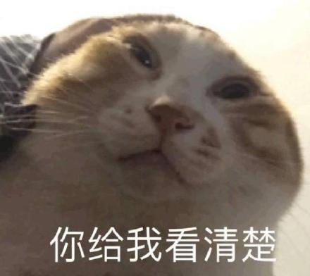 毛周角化黑色素沉着