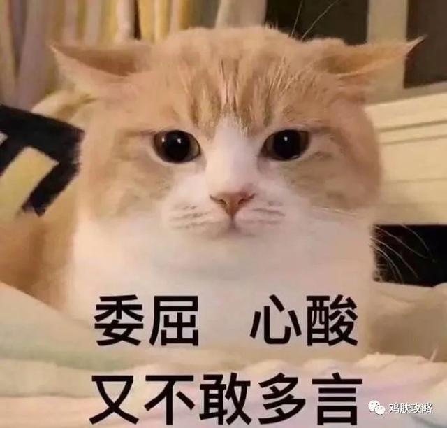 去毛周角化用什么药膏