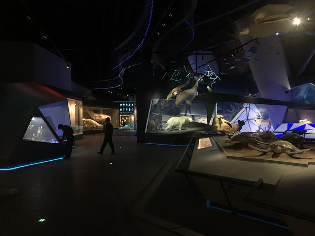 上海博物馆展陈工程决算报告