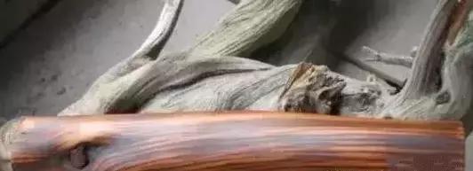 崖柏鱼鳞纹是什么样