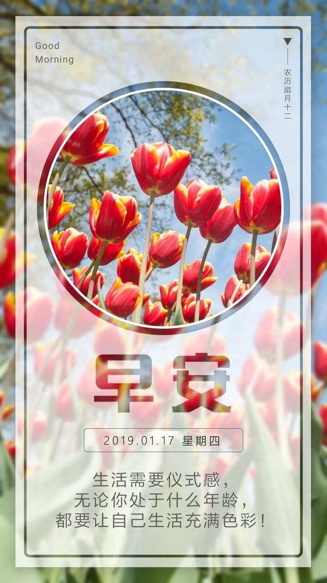 早安日签阳光190117：唯有你强大自己，才能逆天改命