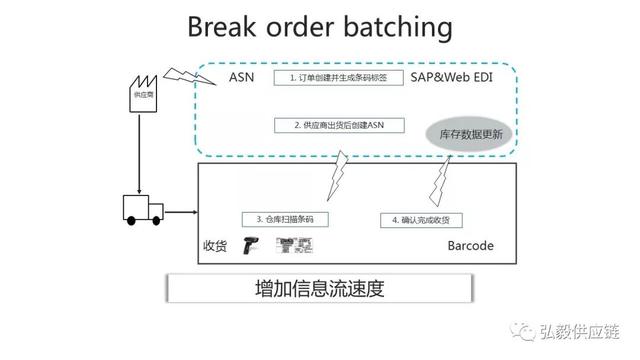 牛鞭为什么那么长