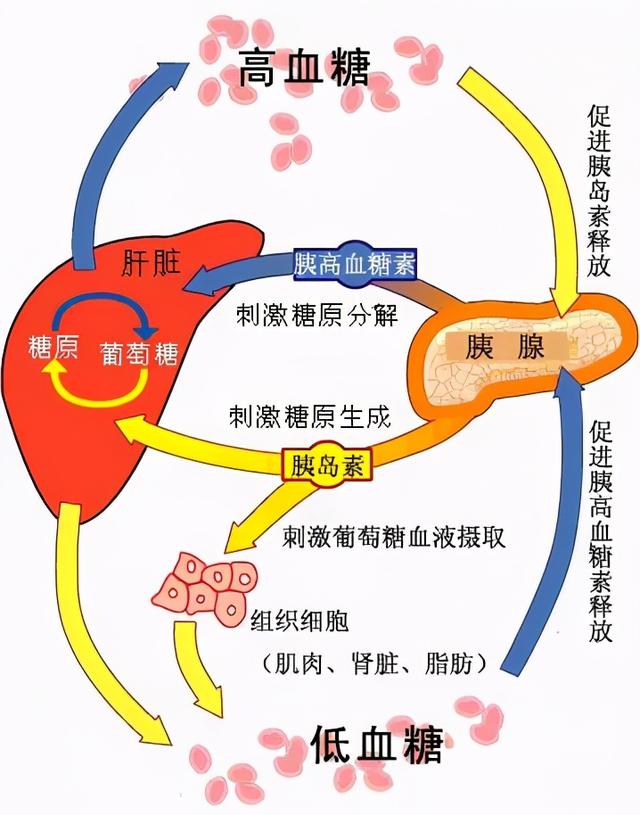 29岁女子确诊爆发型糖尿病，冲上热搜第一！原来这种病如此凶险