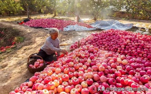 甘南州洗砂机厂家直销价