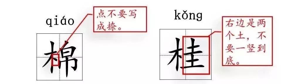 银杏水杉活化石是什么意思