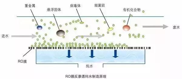 过滤机前置