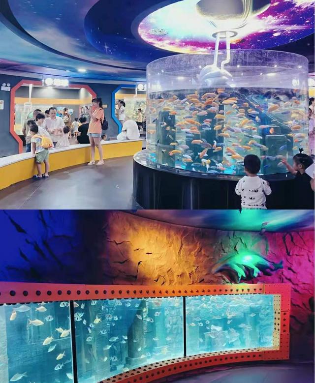 长沙有什么好玩的地方适合小孩(长沙游玩攻略一日游)