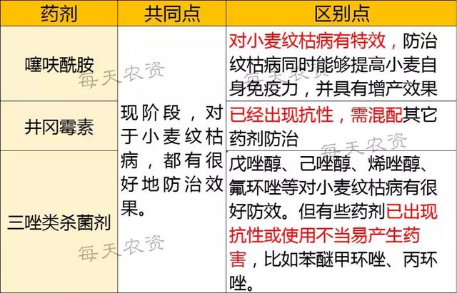 噻呋酰胺「持效期高又安全」，7大使用“关键点”必看5