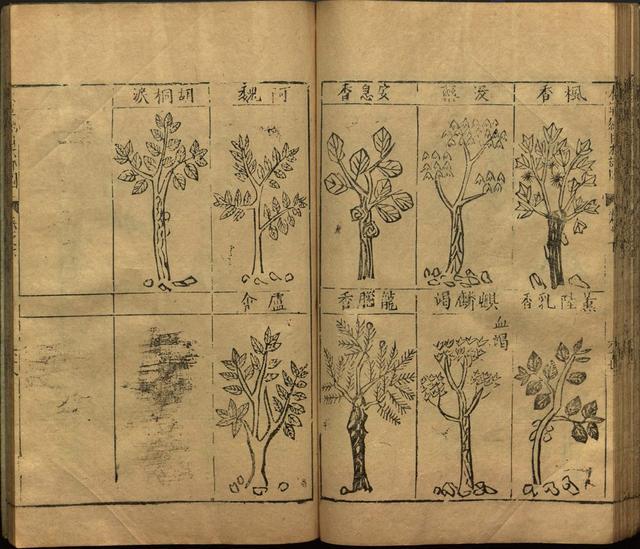 李时珍著《本草纲目》插图卷·下卷