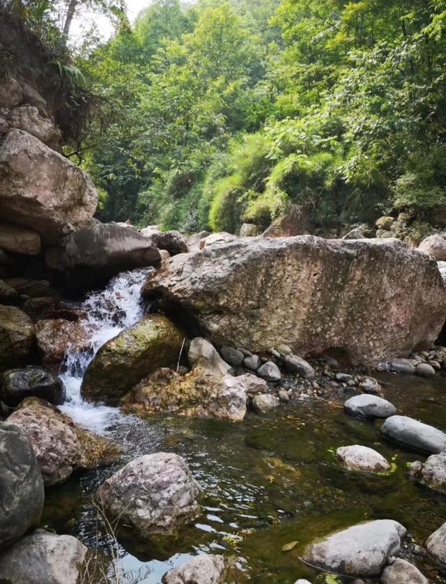 乐山石子洗砂机厂家