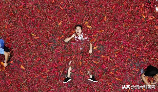 树脂大戟是什么（全世界最辣的物质介绍）