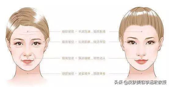 m22王者之冠（科医人第七代m22王者之冠）