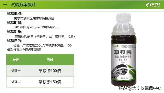 除草剂杀草实测：杂草30分钟枯萎，3天死亡！防效近100%10