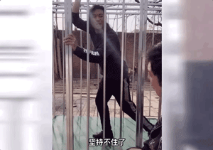 破碎机啃不动秤砣跟铁球视频