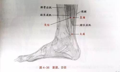 101个“穴位功效大全”，快收藏吧！