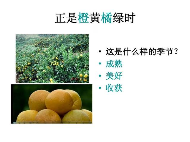 三年级上册语文古诗三首知识点（部编版三年级语文上册第4课古诗三首知识点）(47)