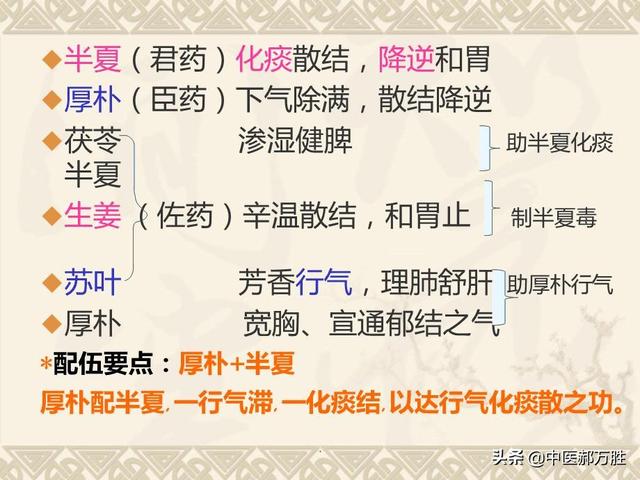 郝大夫说厚朴：理气化湿通中焦，行气解郁平肝逆