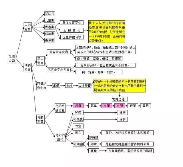 初中各科思维导图全汇总（语文、数学、地理、历史、化学、生物）