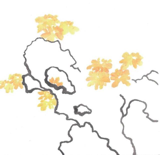 菊花怎么画漂亮又简单