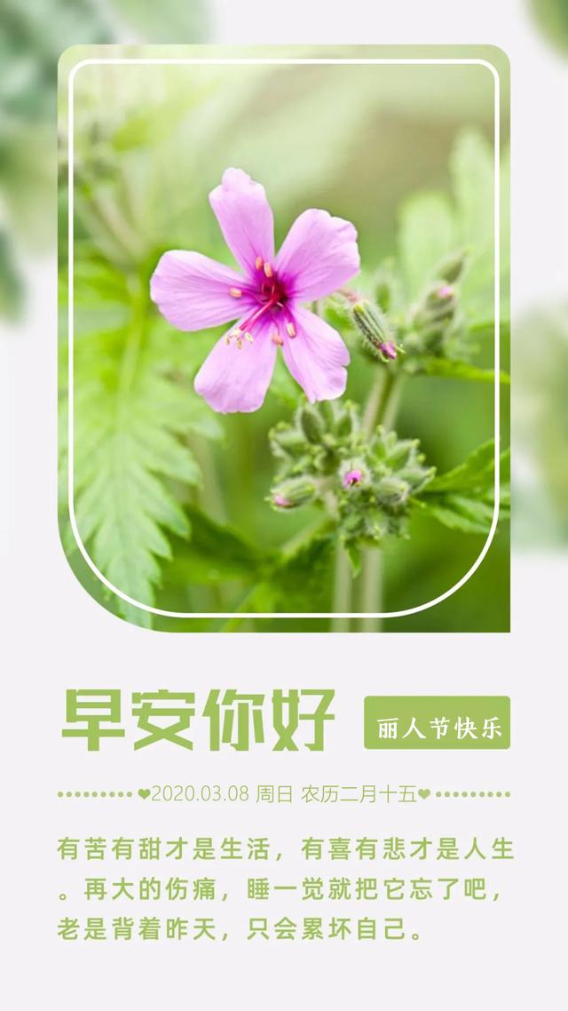 3.8妇女节早安图片日签带字，女人节正能量早上好问候语说说