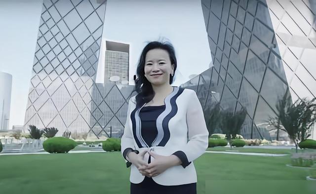 财经频道主持人间谍(央视著名女主持人间谍) - 祖龙网