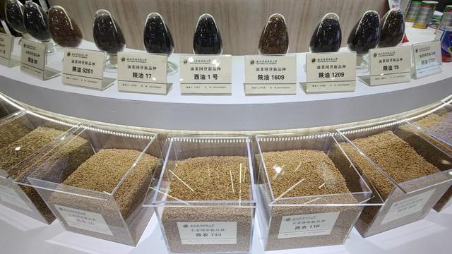 杨凌市农业机械展