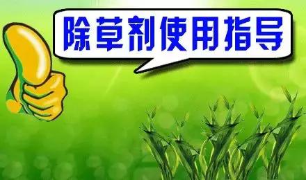 除草剂该怎么用？39种除草剂大汇总！2