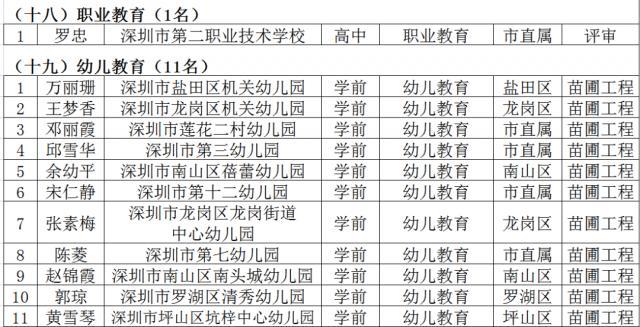 名师工程人选个人三年发展规划