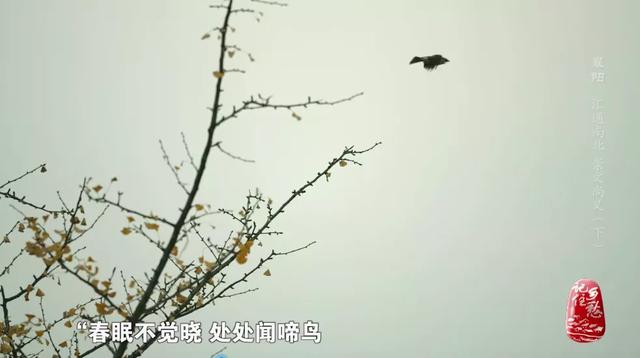 那首孩提时代的启蒙诗《春晓》是如何诞生的？