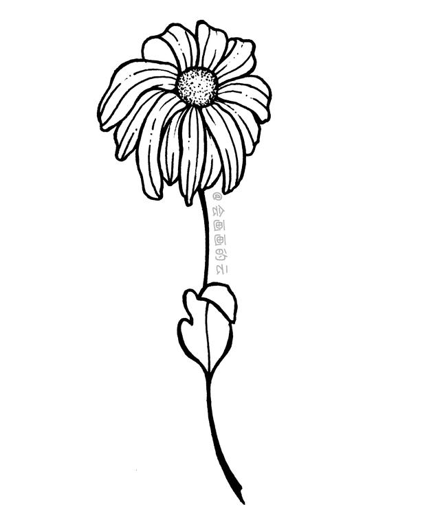 菊花怎么画简单又好看(三款适合零基础画的小雏菊)-桔子edu
