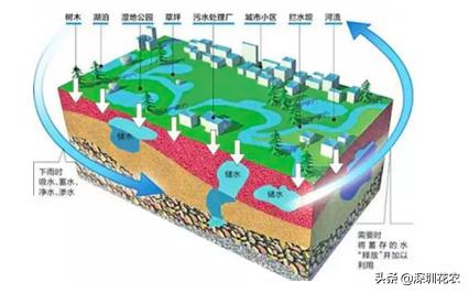 昆明洗砂机经销商建湖