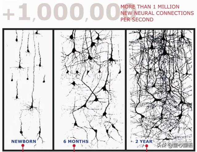 「童心童语分享」关于儿童发展需要记住的5个数字