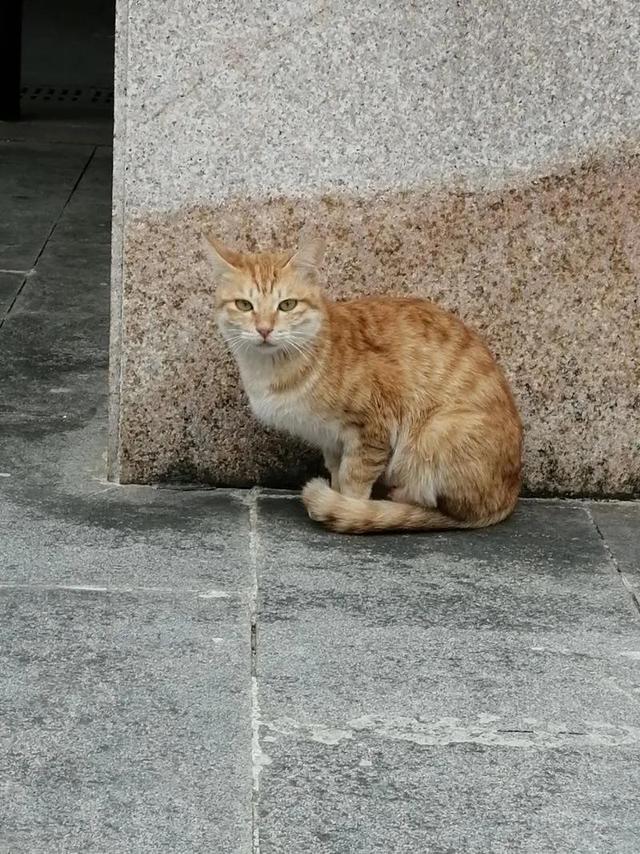 清泉古寺