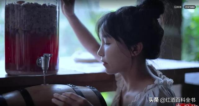 自酿葡萄酒过滤机的用处