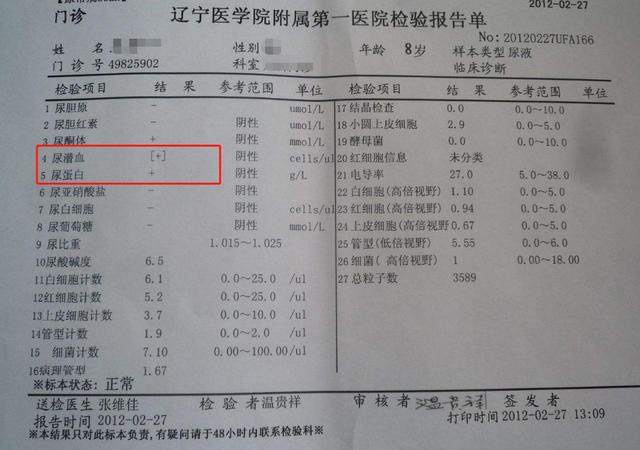 尿液检查隐血是什么意思