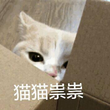 毛周角化黑色素沉着