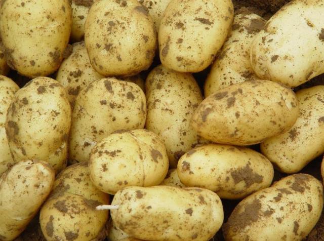 秋分后，这3种蔬菜不建议多吃，没营养还影响健康，别乱吃了