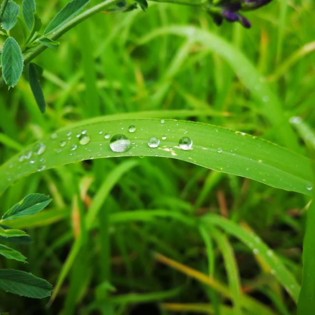 冷雨阻止不了我的工作热情 新闻时间