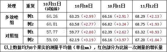 柑橘膨果期能用多效唑吗？实验告诉你，到底安不安全？8