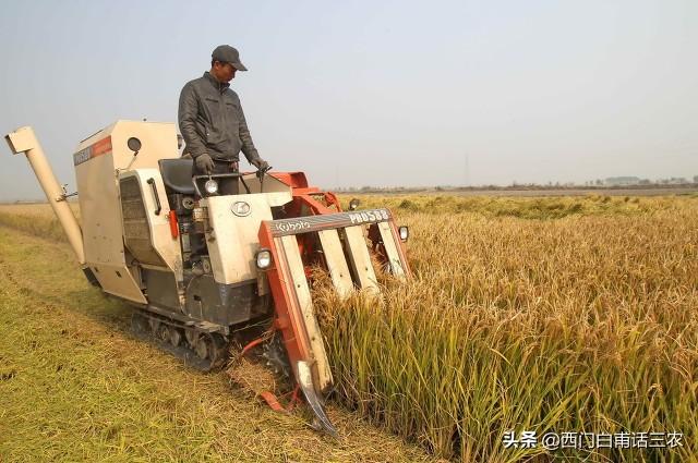 中国18亿亩耕地，维持每年6.5亿吨粮食产量，需要多少种地农民？3