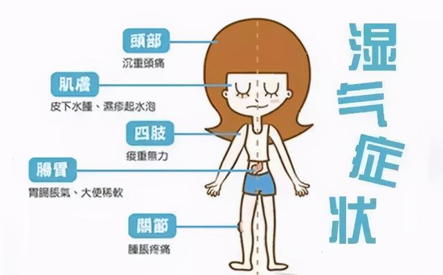 五苓胶囊是什么 主要功效是什么